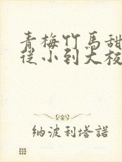 青梅竹马甜宠文从小到大校园封面