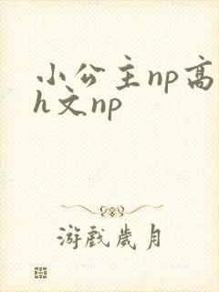 小公主np高辣h文np