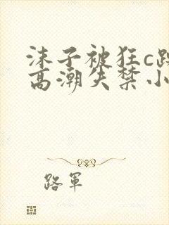 沫子被狂c躁到高潮失禁小说封面