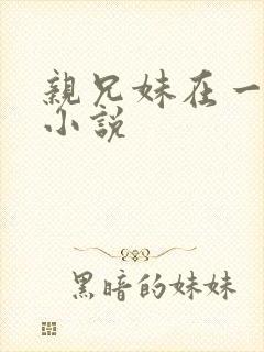 亲兄妹在一起的小说封面