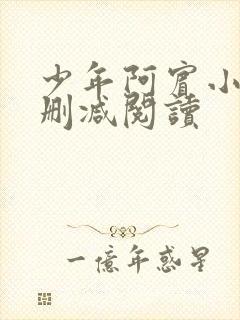 少年阿宾小说无删减阅读封面