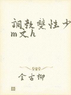 调教双性少年sm文h