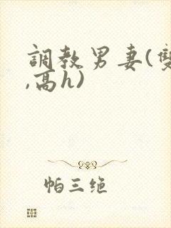 调教男妻(双性,高h)