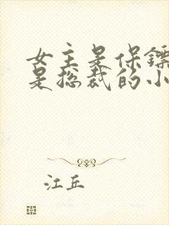 女主是保镖男主是总裁的小说