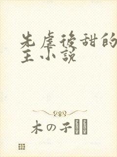 先虐后甜的双男主小说封面