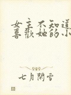 女主不知道男主喜欢她的小说