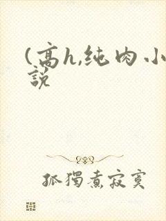 (高h,纯肉小说封面
