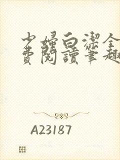 少妇白洁全本免费阅读笔趣阁