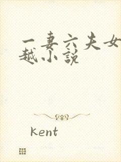 一妻六夫女主穿越小说