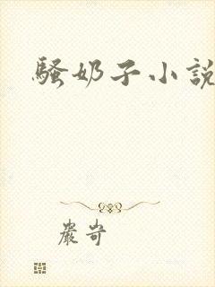 骚奶子小说