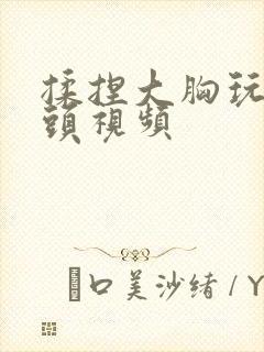 揉捏大胸玩弄乳头视频