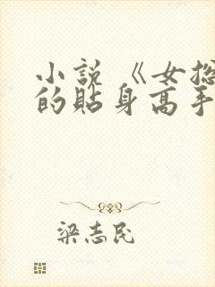 小说 《女总裁的贴身高手》封面