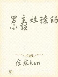 男主姓徐的现代小说