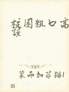 校园粗口高h小说