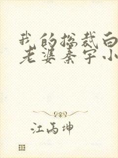 我的总裁白富美老婆秦宇小说正版