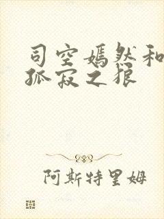 司空嫣然和叶凡孤寂之狼