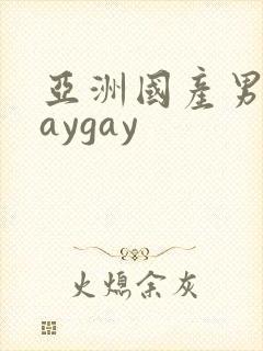 亚洲国产男同gaygay