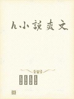 h小说爽文