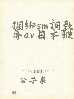 捆绑sm调教羞辱av日本鞭打封面