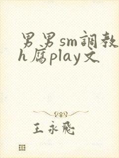 男男sm调教高h腐play文