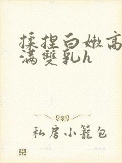 揉捏白嫩高耸饱满双乳h封面