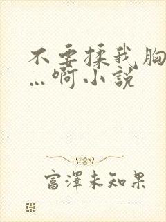不要揉我胸嗯……啊小说