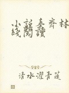 小说秦齐林洁在线阅读