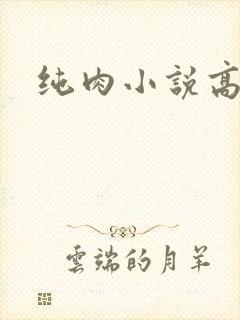 纯肉小说高h文