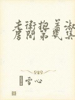 老卫抱着淑蓉进房间第几集封面