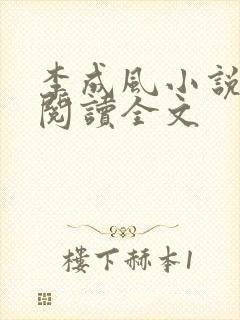 李成风小说在线阅读全文