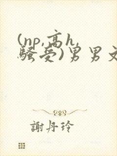 (np,高h,骚受)男男文