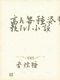 高h各种姿势调教1v1小说