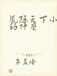 凤隐天下小说讲的什么封面