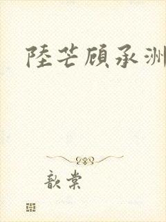 陆芒顾承洲封面