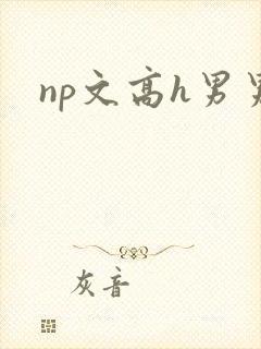 np文高h男男