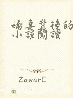 娇妻背后的秘密小说阅读封面