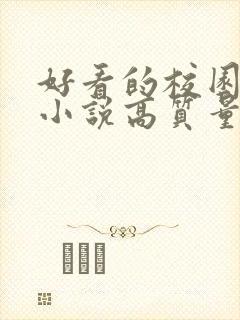 好看的校园言情小说高质量文笔好