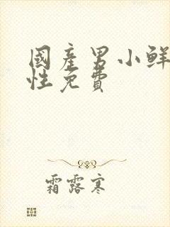 国产男小鲜肉同性免费