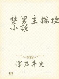 双男主总攻调教小说封面