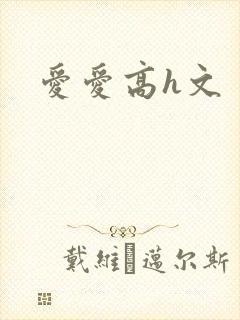 爱爱高h文