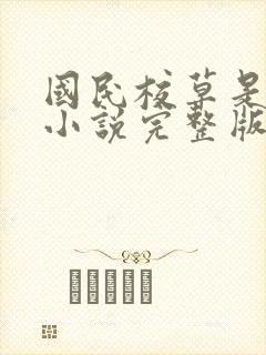 国民校草是女生小说完整版封面