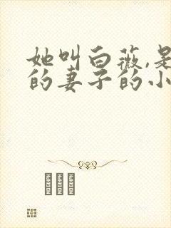 她叫白薇,是我的妻子的小说免费阅读