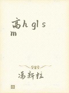 高h gl sm