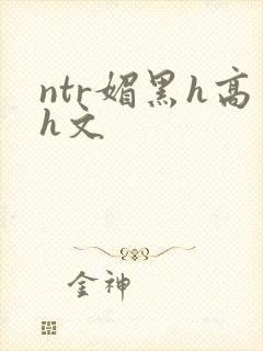 ntr媚黑h高h文