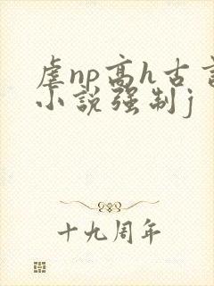 虐np高h古言小说强制j封面