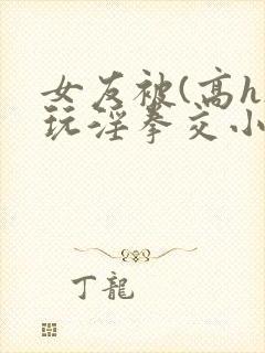 女友被(高h)玩淫拳交小说