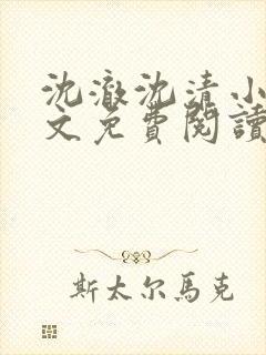 沈澈沈清小说全文免费阅读最新章节封面