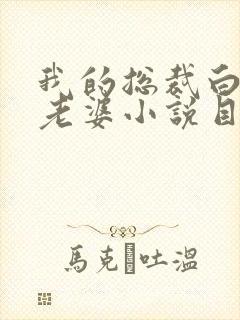 我的总裁白富美老婆小说目录章节