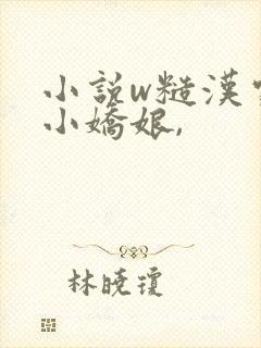 小说w糙汉家的小娇娘,