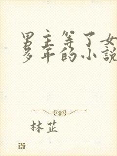 男主等了女主很多年的小说封面